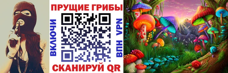 Галлюциногенные грибы Psilocybine cubensis Купить закладки Михайлов